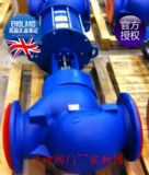 KE73늄��{��(ji��)�y-Ӣ��˹��ɯ��DN200����{��(ji��)�y