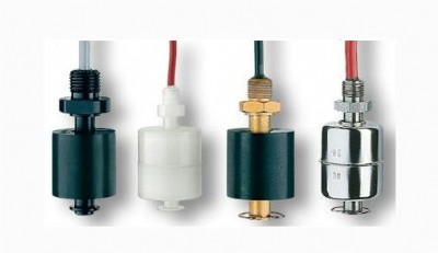 ��ʿreed�Ŝ���s������