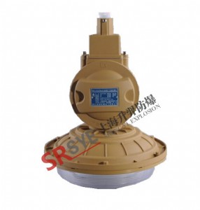 dw81ϵ�з����o�O��