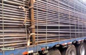 ���f�����y�� ���f�����y�܏S�� ���f�����y�ܬF(xi��n)؛