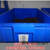 �t�~С�޷N��(�D)