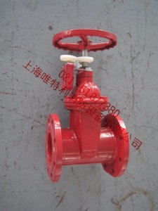 ZSXF-Z��̖���������l�y