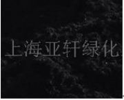 ����(y��ng)��픻��@���|(zh��) ��픻��@��;(�D)