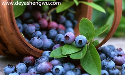 ȫ���{ݮ�~�S��Ƭ�����ӹ����x�Ϻ���������