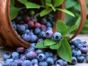 ܛ�z�Ҵ��ӹ�����Ƭ�ǹ����ӹ���Ƭ�����ӹ�