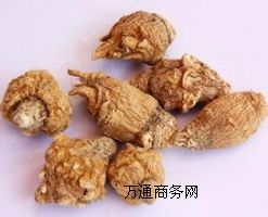 MACA瑪卡飲品加工