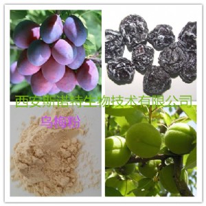 ��÷�� ��÷��s�� ���w��Ϸ� �S��ֱ�N �F؛���]