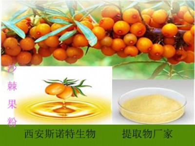 ���| ɳ����ȡ�� ɳ����  ɳ������� ����ɿ�