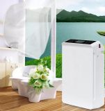 ���������՚������ ˹�غ�c9-a�՚������