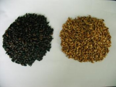 ��ѿ�㾫�S��