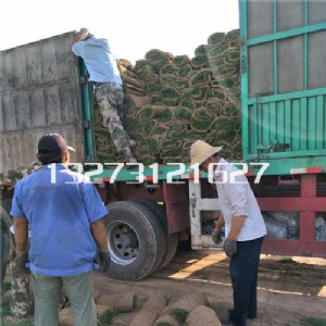 �ӱ��伾�Ͳ�ƺ