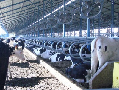 �Bֳ�������O���B