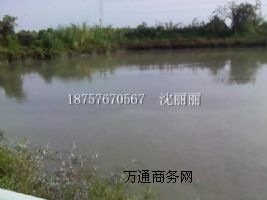 �x���僅f�����]LWY����ˮÓ���C