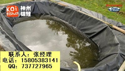 ������h�Bֳ���BĤ/ź�ط��BĤ