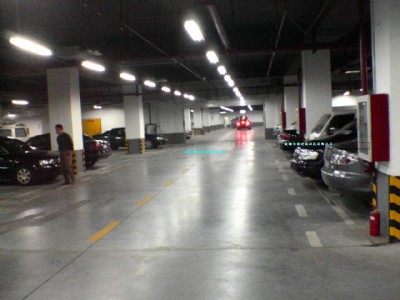 ��������������ɰ����ďS��