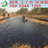 0.5����ź�ط��BĤ�����Xһ��