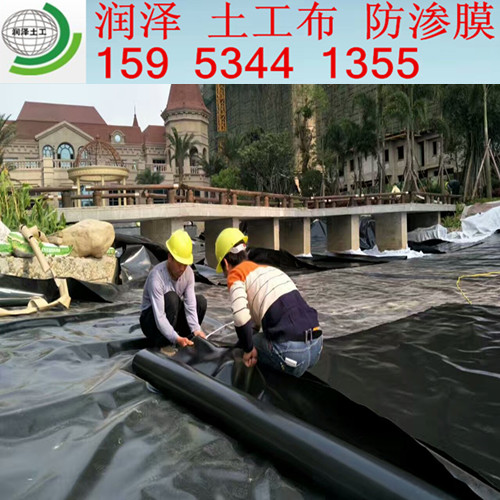 ����ϩ����Ĥ