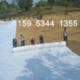 250g�����L�z�o�����r��