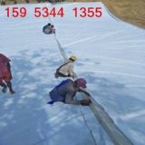 1200�˷ǿ����(f��)������Ĥ�r(ji��)��