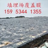 1.0��������������wĤ