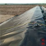 �~���o�·��BĤ