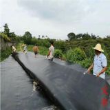 1.5mmhdpe����Ĥ�r��