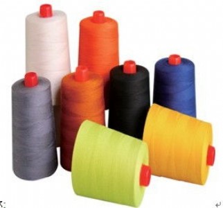 �Ϻ�ʥ�W�S�ҹ���sro���]��ȼ����