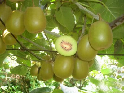 �Ĵ��t�īJ���ҾGɫˮ���J�������ھW(w��ng)�j(lu��)ֱ�N-��ɽ�r��