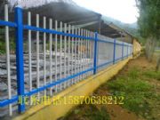 �M��С�^(q��)���� �����h�e���\��o(h��)��ӆ��