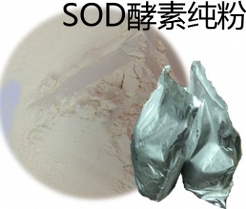 �����_���M��SOD���ؼ���