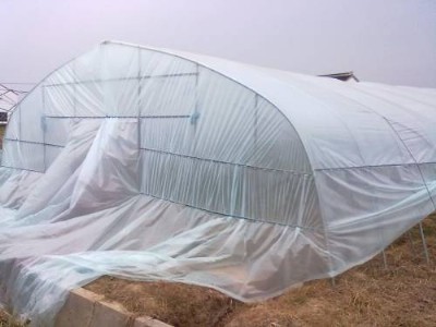 ���ϴ���Ĥ�S��ֱ�Npe͸���r(n��ng)�����ϱ�Ĥ�Ӻ�������ϲ�