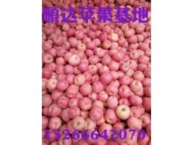 ���ϼt��ʿ�O���r��/���ϼt��ʿ�O��/���ϼt��ʿ�Ј��r��