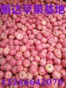 ɽ�|һ���l�t�t��ʿ�O���a(ch��n)�����l(f��)�r����؃r