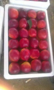 �����д������� ȥ�������l�������҃r�����