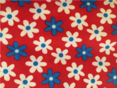 �y���q�İlչ�v��