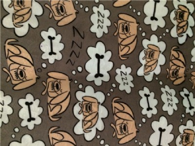 ɺ���q˯�����o���ô�k