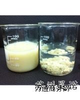 �����ԗl����������