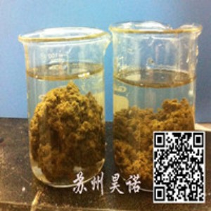 ӡȾ�S��ˮ̎��ˎ��