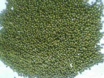 ȫ���G�����l