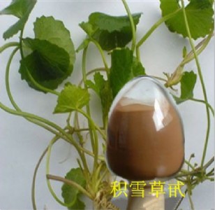 ����(y��ng)�eѩ�ݿ��ա��eѩ����80�� �eѩ����ȡ��