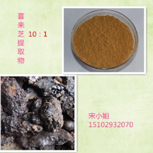 �S�ҬF؛����ϲ��֥��ȡ��10:1