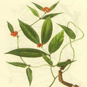 �۷�����ȡ��