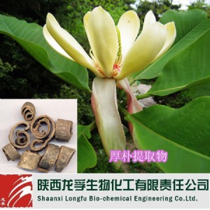 �����ȡ�� ���� ��㿂�� �ͺ���