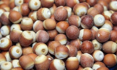 ����t��޲���͌��۴��ͷ۴��ӹ��w�����ۄ�ί�����a(ch��n)��I(y��)