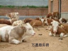 ̫ԭ�Bţ�S��ɽ��̫ԭ�Bţ�Sţ�كr��