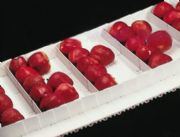 �S�����]ݔ��ʳƷ���ϾW(w��ng)��(�D)