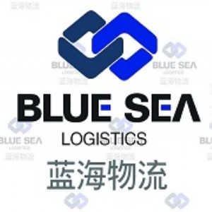 ����{�������C�����I���팙�����\