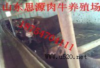 ����Bţ?�l���¸��Bֳ�Ŀ ˼Դ���I