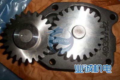 ����˹�l늙Cqsk30�C�ͱ�493579�I�\�����l؛����