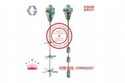 ���������55�Ӂ�������